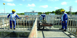 Labor market 2024: “green jobs” flourish