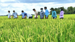 Viet Nam to Cut Nearly 30 Million Tons of CO₂ in Waste Management