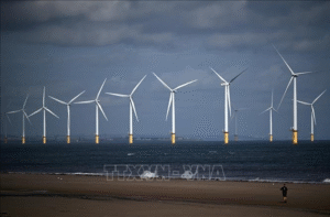 UK Encourages the Development of Offshore Wind Farms🌬️